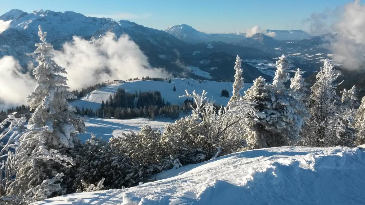 Fesengut Hotell Annaberg im Lammertal Exteriör bild