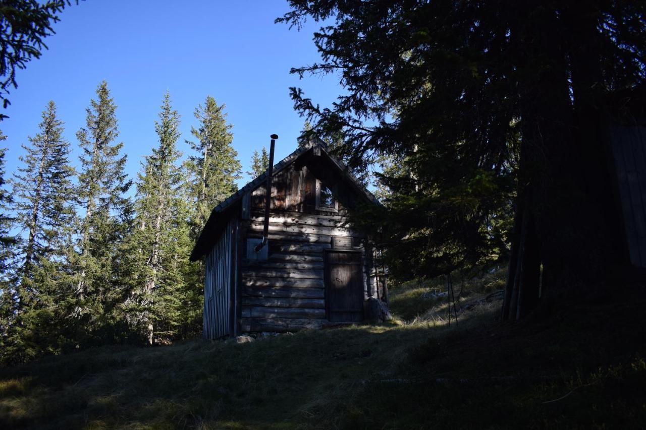 Fesengut Hotell Annaberg im Lammertal Exteriör bild
