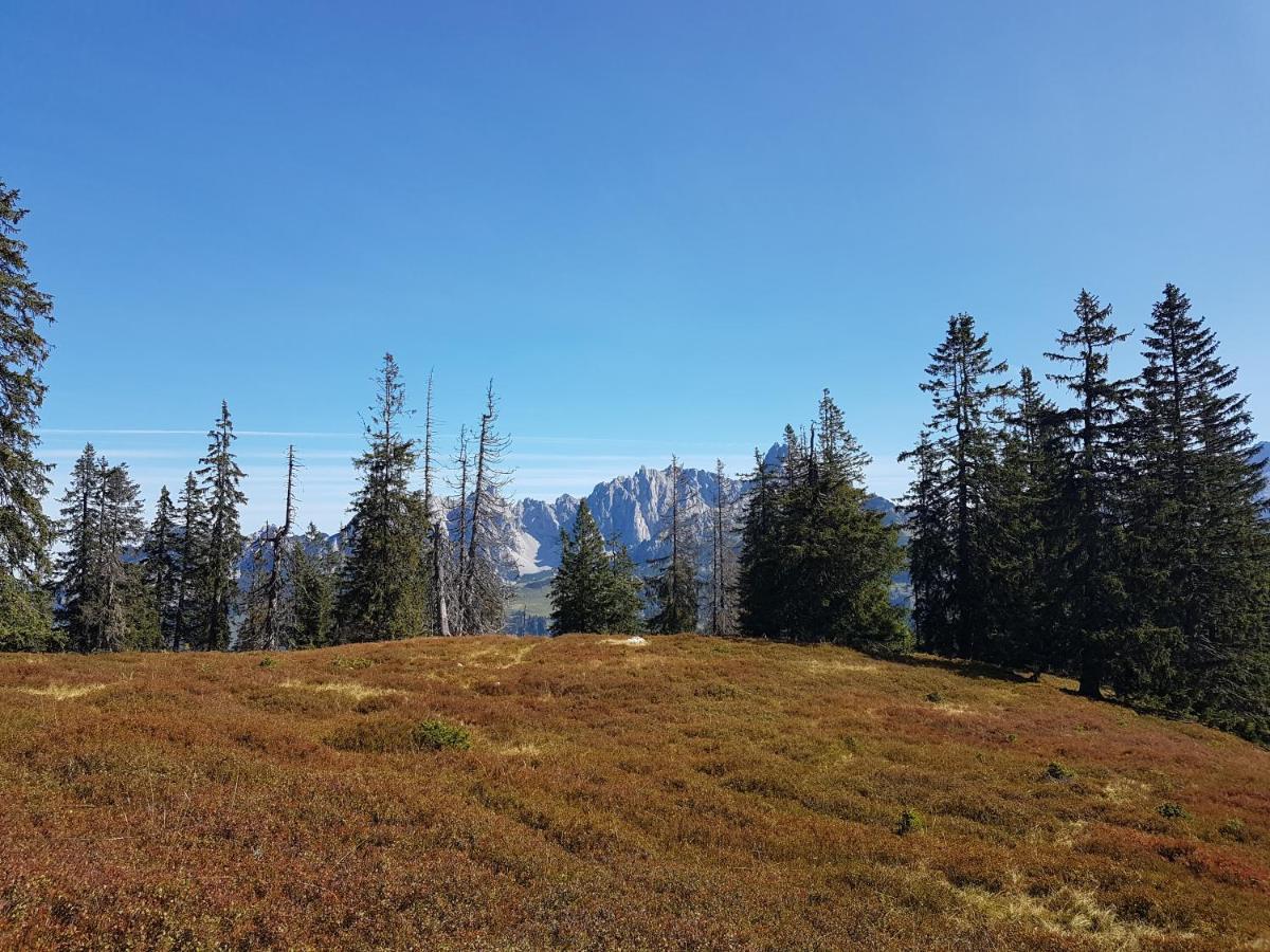 Fesengut Hotell Annaberg im Lammertal Exteriör bild