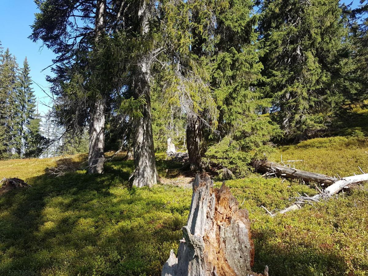 Fesengut Hotell Annaberg im Lammertal Exteriör bild