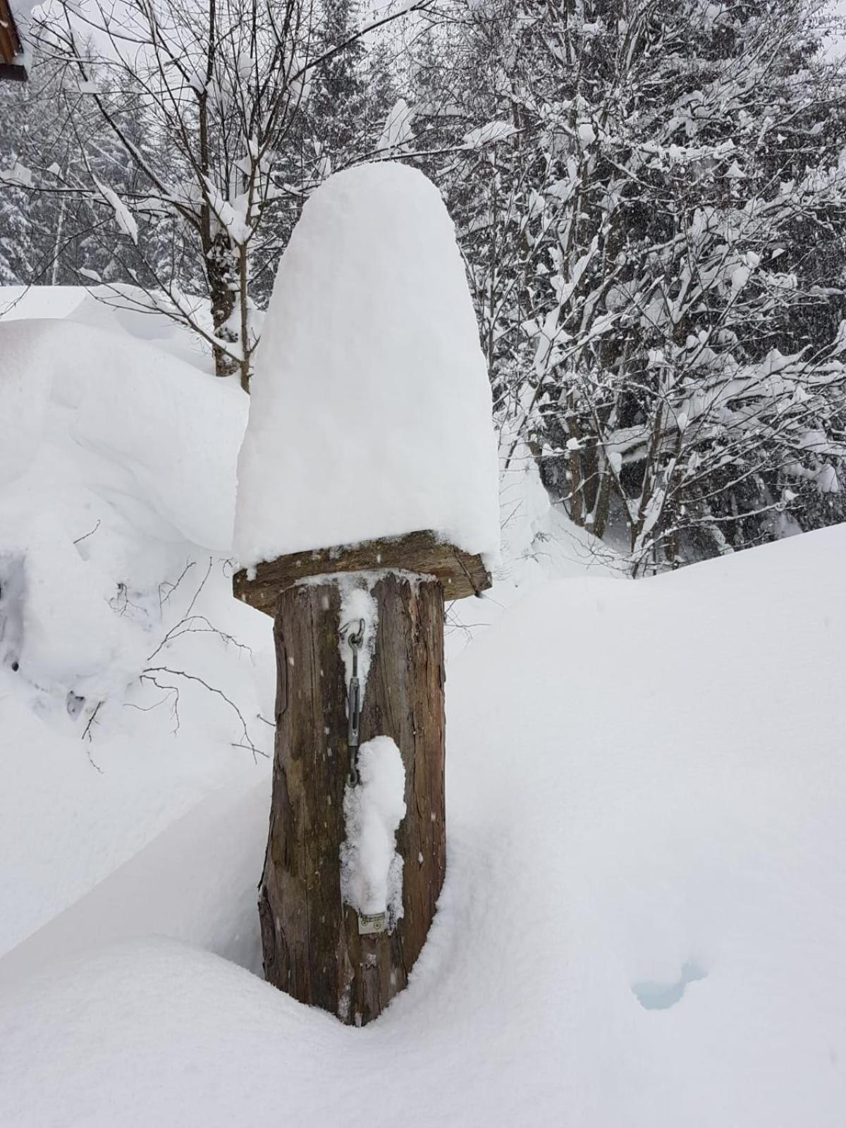 Fesengut Hotell Annaberg im Lammertal Exteriör bild