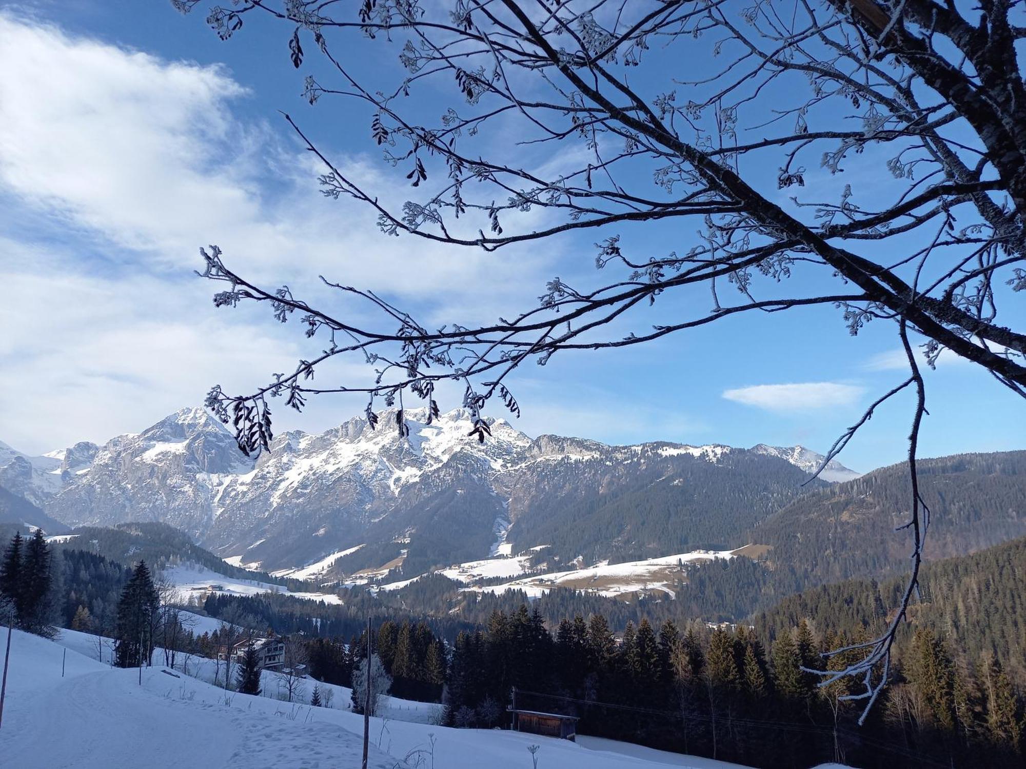Fesengut Hotell Annaberg im Lammertal Exteriör bild