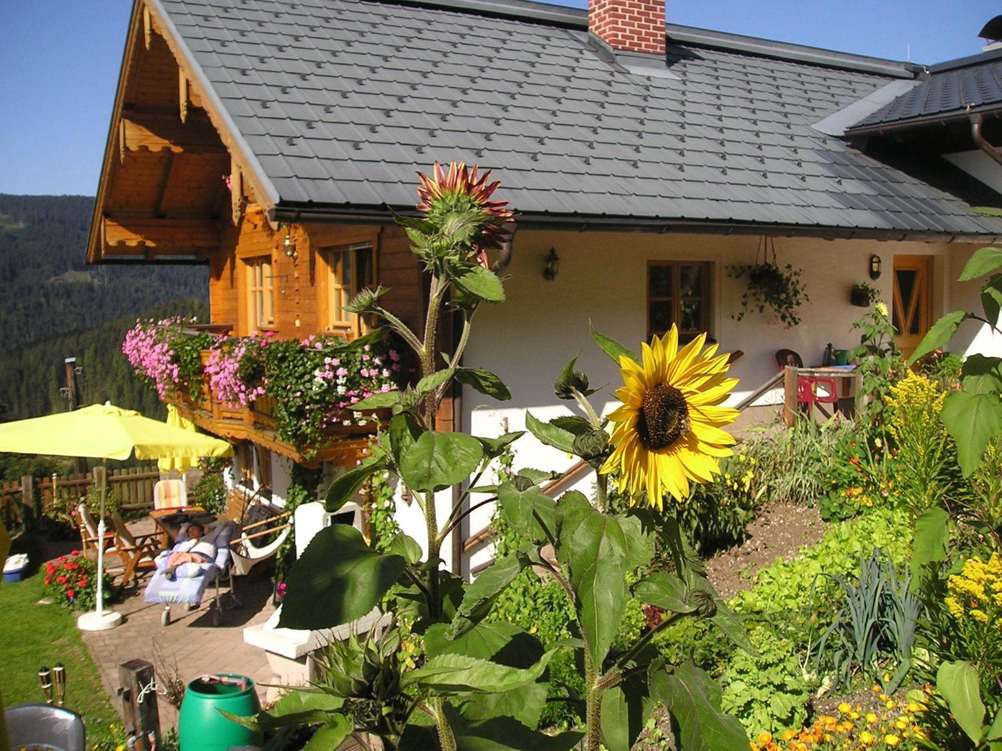 Fesengut Hotell Annaberg im Lammertal Exteriör bild